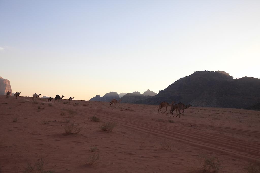 Bedouin Expedition Wadi Rum Exterior photo